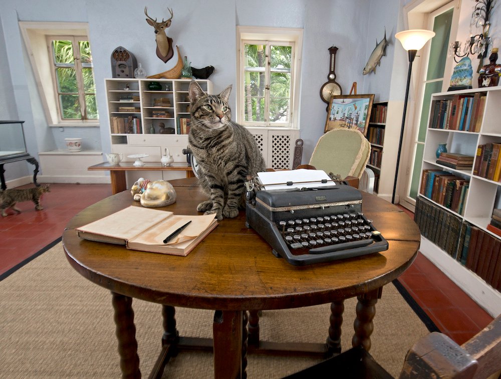 Guia para visitar Key West (Cayo Hueso) Florida en 2026 keys flash fiction